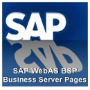 SAP Training WebAS BSP Business Server Pages